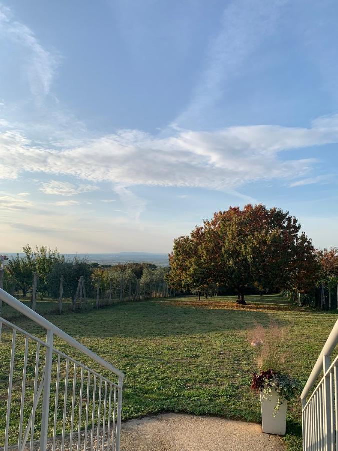 La Terrazza Sul Ciliegio Apartment Marino Exterior foto